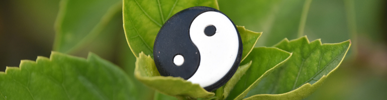 A yin and yang symbol sits in a leaf, the background contains green forestry.